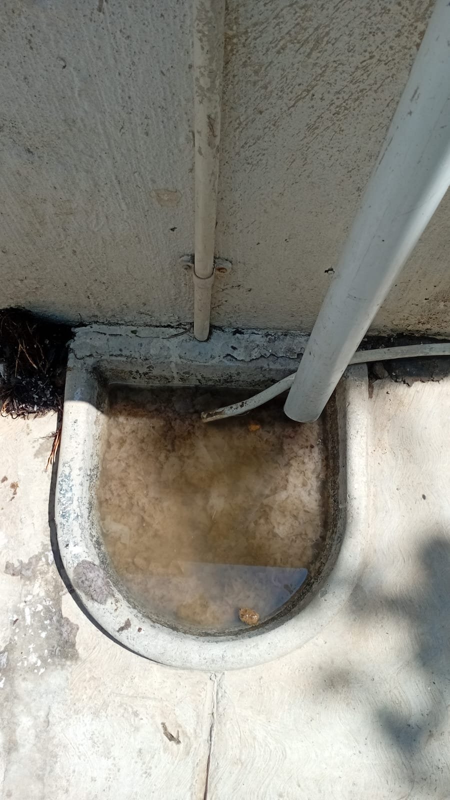 Plumber Fountain Brook Estate Plumber Fountain Brook Estate service photo